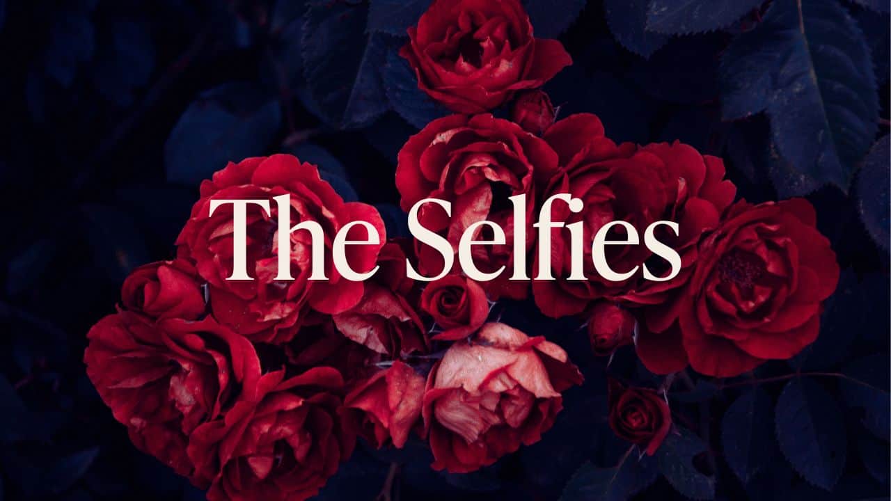 Stylized background with words The Selfies overlayed